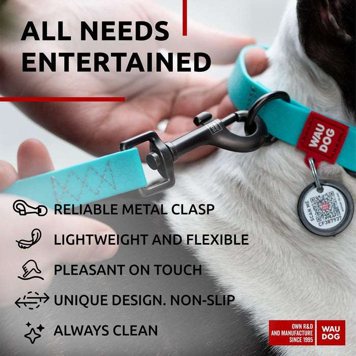 Waterproof Dog Leash 4 Ft   6 Ft   Anti Slip Dog Leash for Large Dogs Small and Medium Dogs   Heavy Duty Dog Leash with Water and Dirt Resistant   Long Or Short Dog Leashes for Boy & Girl Dogs