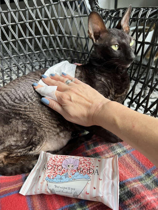 Kotomoda Wet Wipes with panthenol for Sphynx cat for Everyday use (1Pack 15Count)