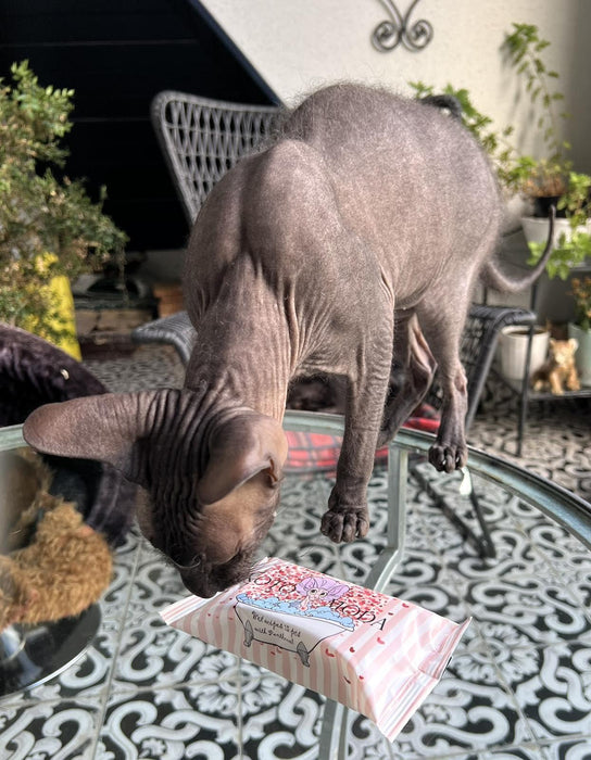 Kotomoda Wet Wipes with panthenol for Sphynx cat for Everyday use (1Pack 15Count)