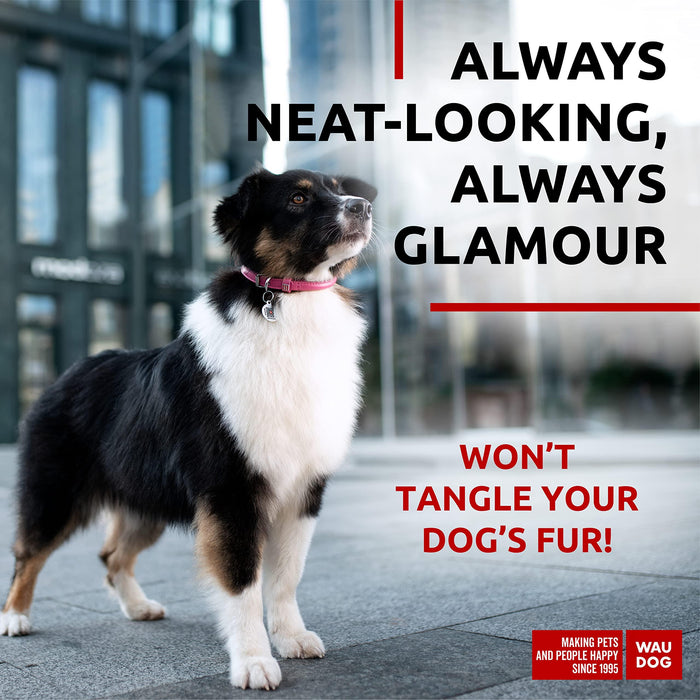 Ultra Soft Rolled Leather Dog Collar for Small Dogs   Soft Padded Dog Collars for Medium Dogs   Puppy Collars for Large Breed Dogs   Male and Female Dog Collar