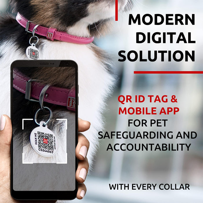 Ultra Soft Rolled Leather Dog Collar for Small Dogs   Soft Padded Dog Collars for Medium Dogs   Puppy Collars for Large Breed Dogs   Male and Female Dog Collar