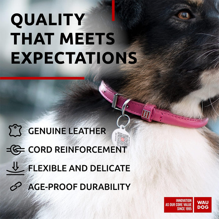 Ultra Soft Rolled Leather Dog Collar for Small Dogs   Soft Padded Dog Collars for Medium Dogs   Puppy Collars for Large Breed Dogs   Male and Female Dog Collar