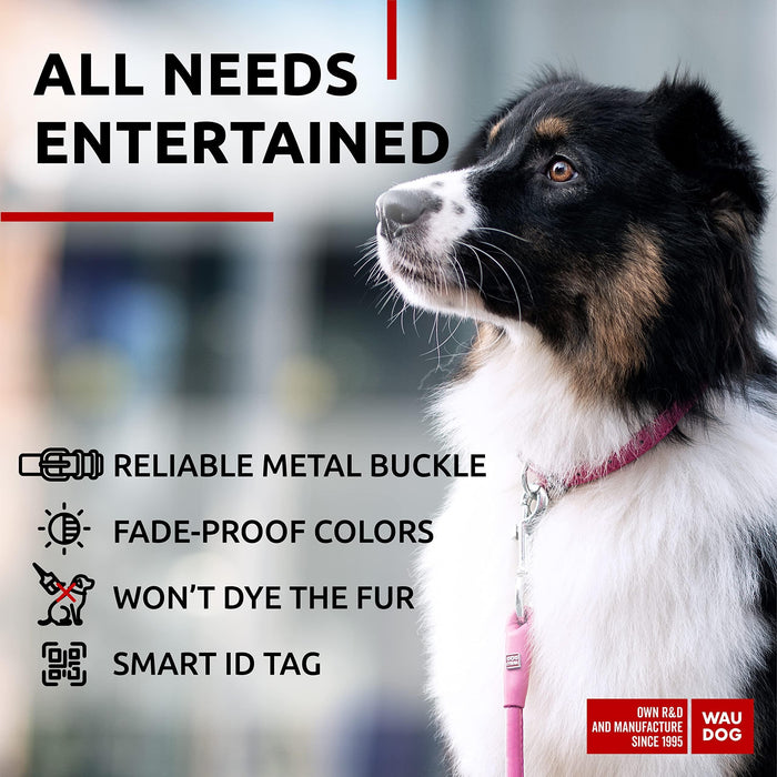 Ultra Soft Rolled Leather Dog Collar for Small Dogs   Soft Padded Dog Collars for Medium Dogs   Puppy Collars for Large Breed Dogs   Male and Female Dog Collar