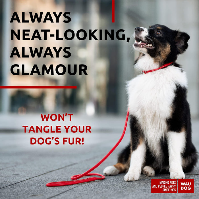 Rolled Leather Dog Leash 4Ft * 0.5 in for Small Medium and Large Dogs   Heavy Duty Leather Puppy Leash for Outdoor Walking Running Training   Strong Dog Leashes for Large Breed Dogs (Red)