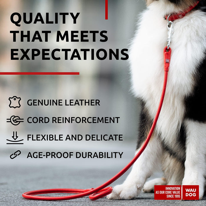 Rolled Leather Dog Leash 4Ft * 0.5 in for Small Medium and Large Dogs   Heavy Duty Leather Puppy Leash for Outdoor Walking Running Training   Strong Dog Leashes for Large Breed Dogs (Red)