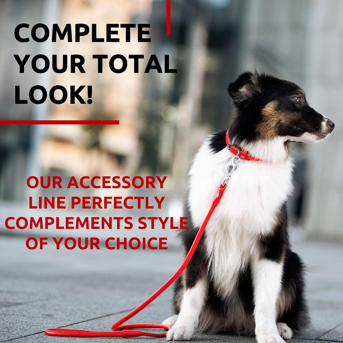 Rolled Leather Dog Leash 4Ft * 0.5 in for Small Medium and Large Dogs   Heavy Duty Leather Puppy Leash for Outdoor Walking Running Training   Strong Dog Leashes for Large Breed Dogs (Red)