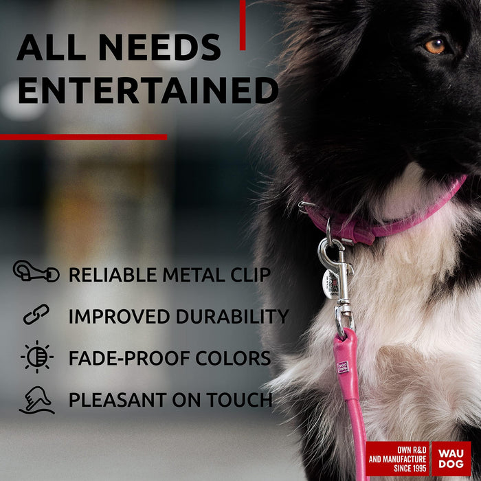 Rolled Leather Dog Leash 4Ft * 0.4 in for Small Medium and Large Dogs   Heavy Duty Leather Puppy Leash for Outdoor Walking Running Training   Strong Dog Leashes for Large Breed Dogs (Pink)