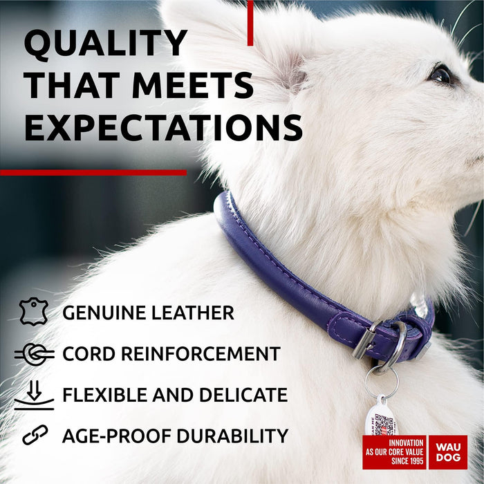 Ultra Soft Rolled Leather Dog Collar for Small Dogs   Soft Padded Dog Collars for Medium Dogs   Puppy Collars for Large Breed Dogs   Male and Female Dog Collar