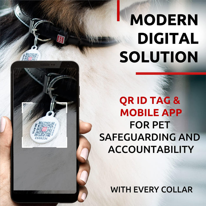 Ultra Soft Rolled Leather Dog Collar for Small Dogs   Soft Padded Dog Collars for Medium Dogs   Puppy Collars for Large Breed Dogs   Male and Female Dog Collar