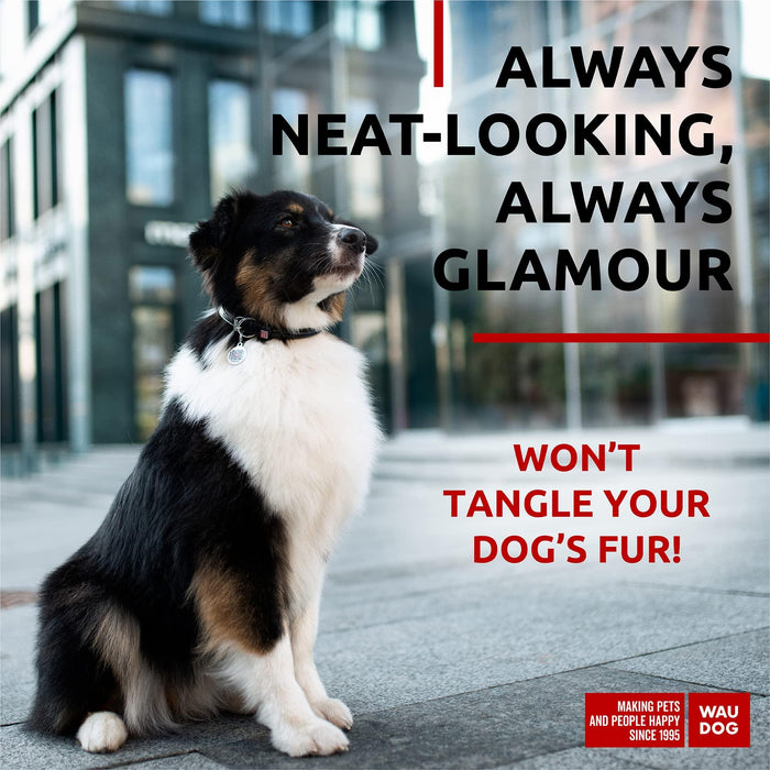 Ultra Soft Rolled Leather Dog Collar for Small Dogs   Soft Padded Dog Collars for Medium Dogs   Puppy Collars for Large Breed Dogs   Male and Female Dog Collar