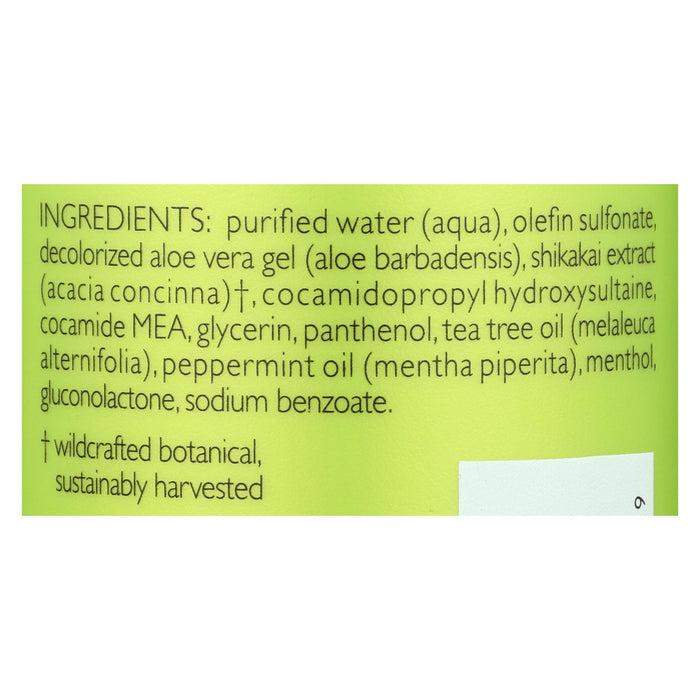 Shikai Products Shampoo - Tea Tree - 24 Fl Oz.