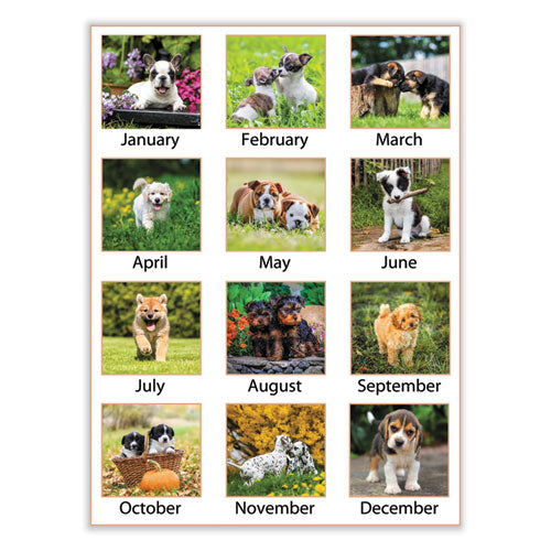 Puppies Monthly Desk Pad Calendar, Puppies Photography,22 X 17, White Sheets, Clear Corners, 12-month (jan To Dec): 2025