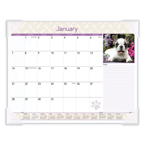 Puppies Monthly Desk Pad Calendar, Puppies Photography,22 X 17, White Sheets, Clear Corners, 12-month (jan To Dec): 2025