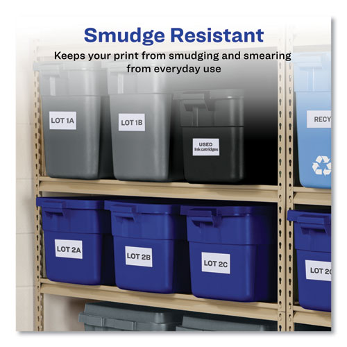 Multipurpose Thermal Labels, 4 X 2.94, 300/roll, 1 Roll/box.