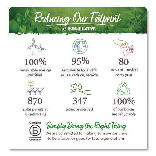 Botanicals Watermelon Cucumber Mint Cold Water Herbal Infusion, 0.7 Oz Tea Bag, 18/box