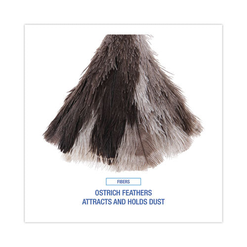 Professional Ostrich Feather Duster, 7" Handle...