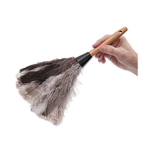 Professional Ostrich Feather Duster, 7" Handle...