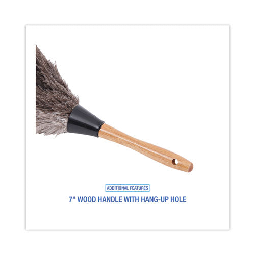 Professional Ostrich Feather Duster, 7" Handle...