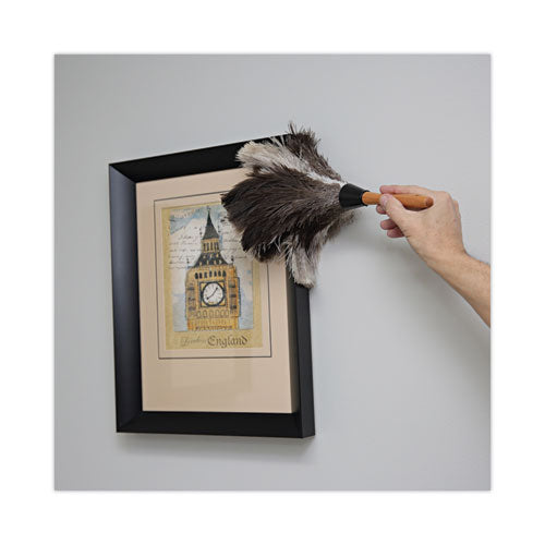 Professional Ostrich Feather Duster, 7" Handle...