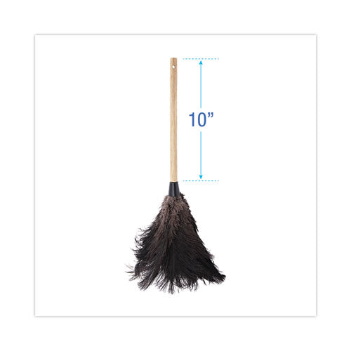 Professional Ostrich Feather Duster, 10" Handle.