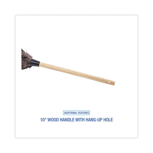 Professional Ostrich Feather Duster, 10" Handle.