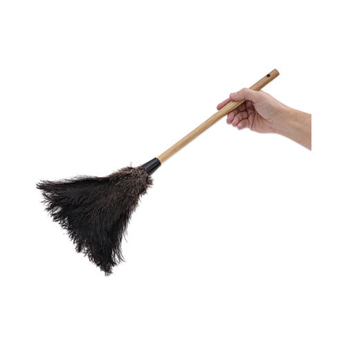Professional Ostrich Feather Duster, 10" Handle.