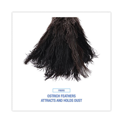 Professional Ostrich Feather Duster, 10" Handle.