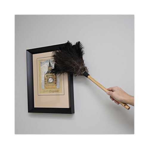 Professional Ostrich Feather Duster, 10" Handle.