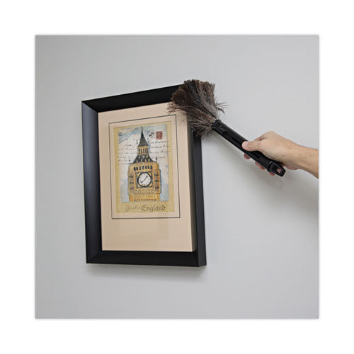 Retractable Feather Duster, 9" To 14" Handle.