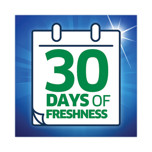 Liquid Laundry Detergent, Mountain Breeze, 150 Oz, Bottle.