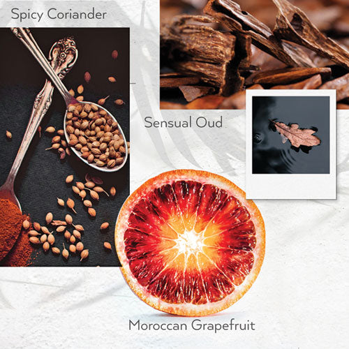 Shower Gel, Warm Oak, 12.2 Oz Bottle, 12/carton.