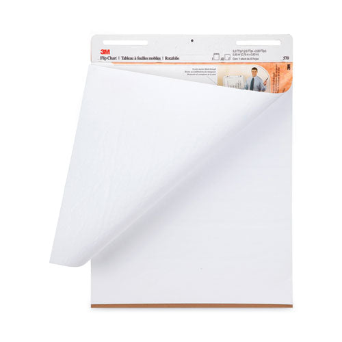 Professional Flip Chart, Unruled, 25 X 30, White, 40 Sheets, 2/carton.
