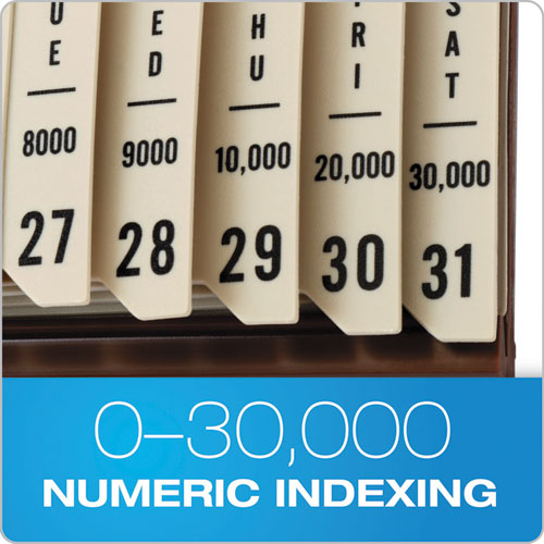 General Purpose Indexed Sorter, 31 Dividers, Alpha/numeric/month/date/day Index, Letter Size, Brown Frame.