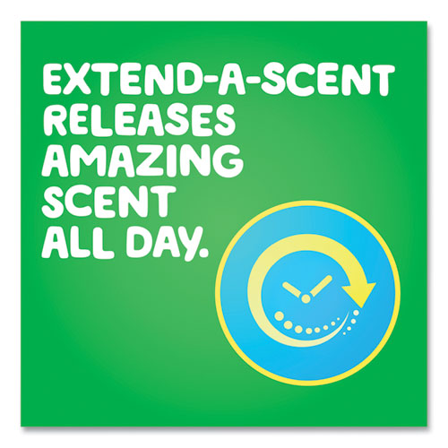 Flings Detergent Pods, Original, 76 Pods/tub.