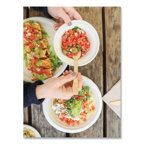 Bamboo Cutlery, Spoon, 6.7", Natural, 2,000/carton.