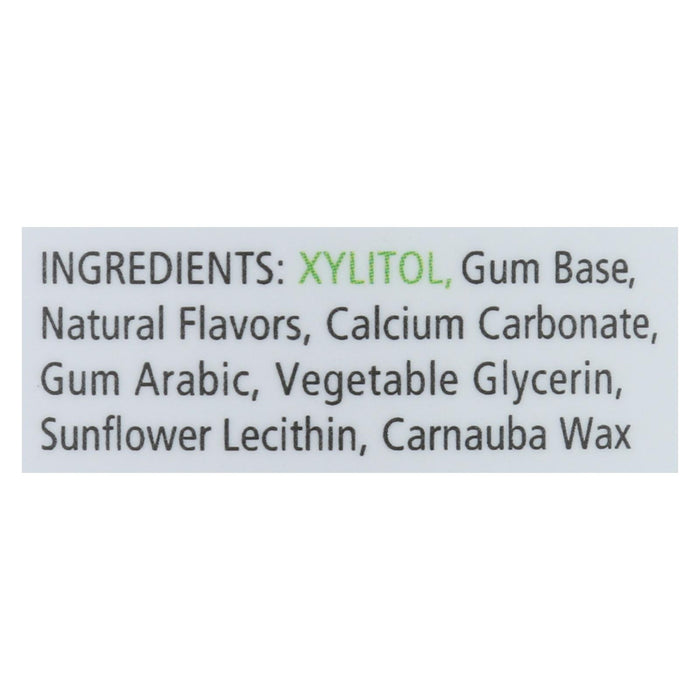 Spry Chewing Gum - Xylitol - Spearmint - 100 Count - 1 Each.