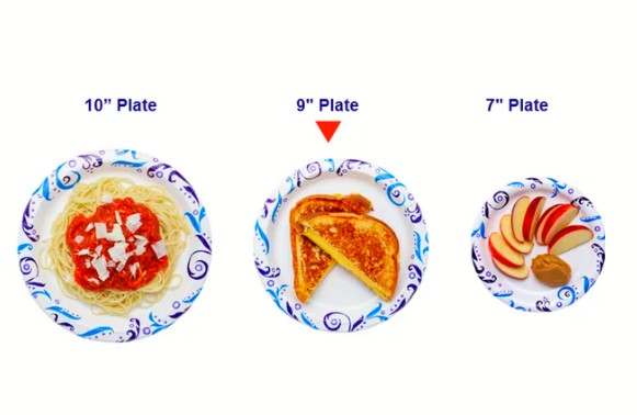 Great Value Everyday Disposable Paper Plates, 9in- 300ct