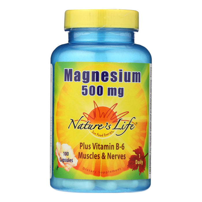 Nature's Life - Magnesium 500mg - 1 Each 1-100 Cap